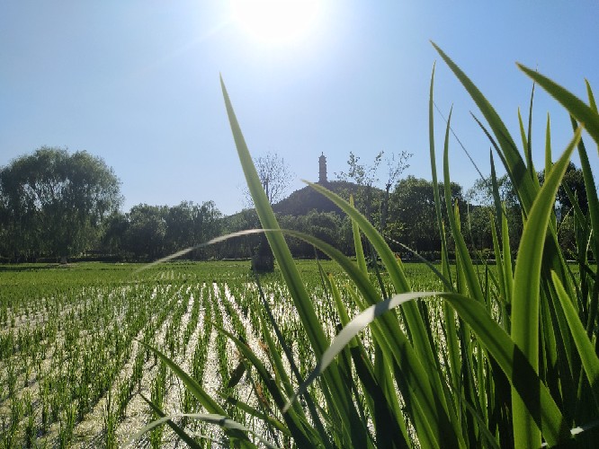 二下春季學(xué)期總結(jié)