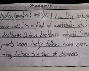 Summary的难度，7岁娃可能真的很难做总结
