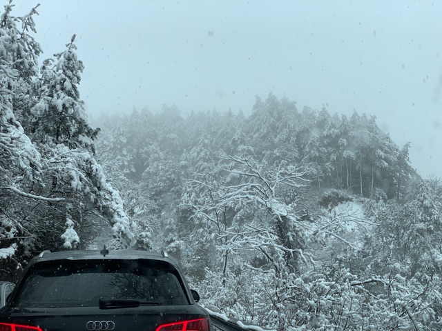 下雪了??