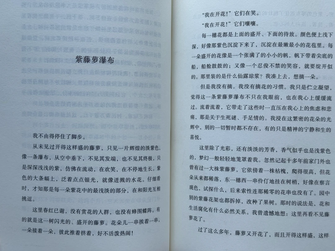 那些花兒和云兒—
