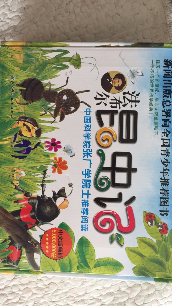 看圖寫話day7