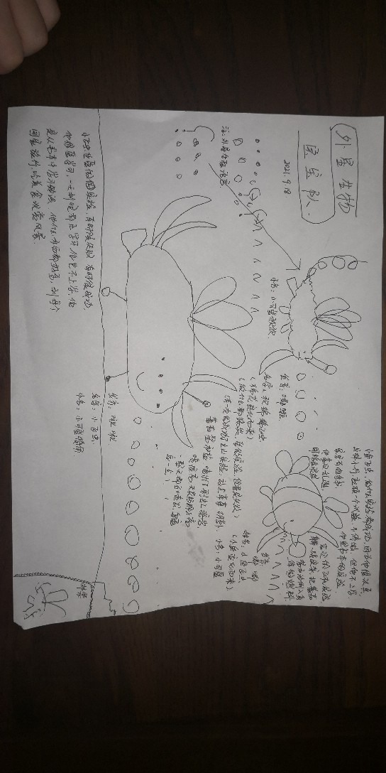 創(chuàng)作：外星生物寶
