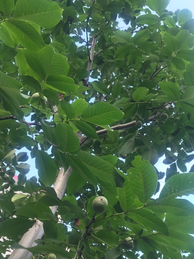 體驗(yàn)生活
