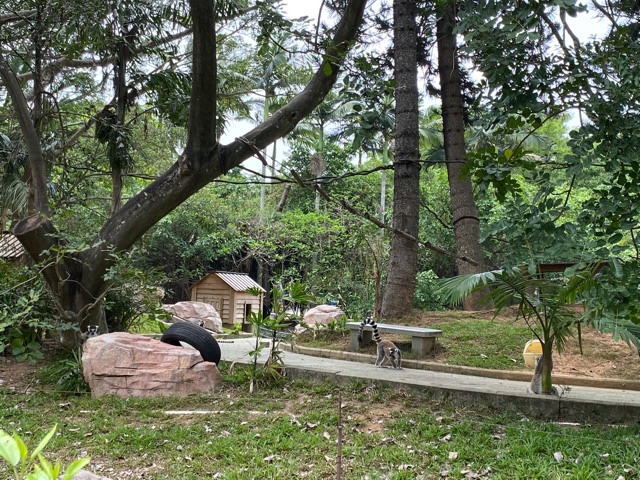 重溫動物園的十萬