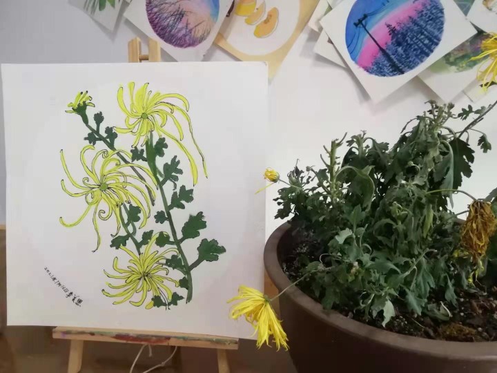 近期手作小匯1