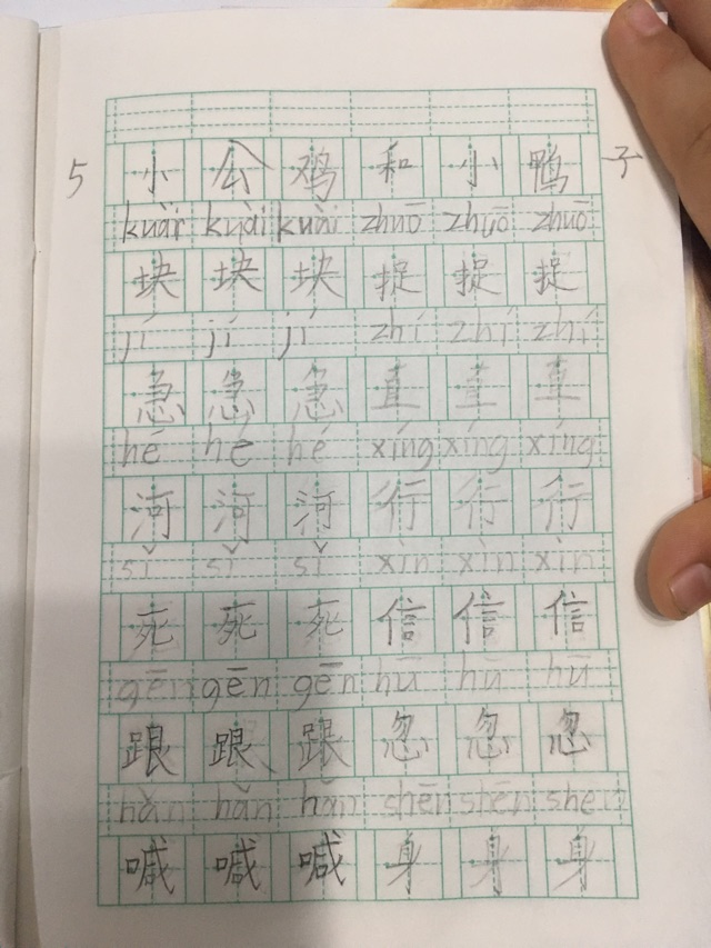 小公雞和小鴨子