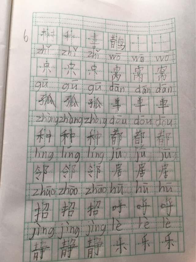 樹(shù)和喜鵲