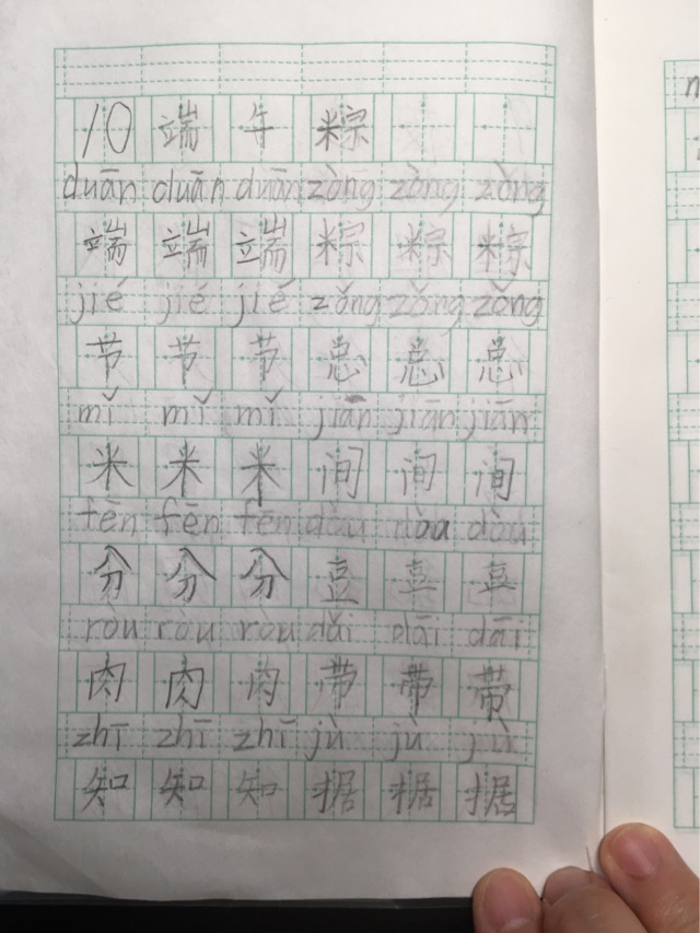 端午粽