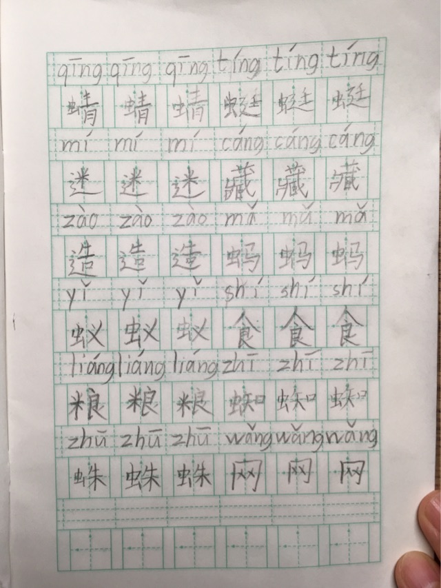 動(dòng)物兒歌