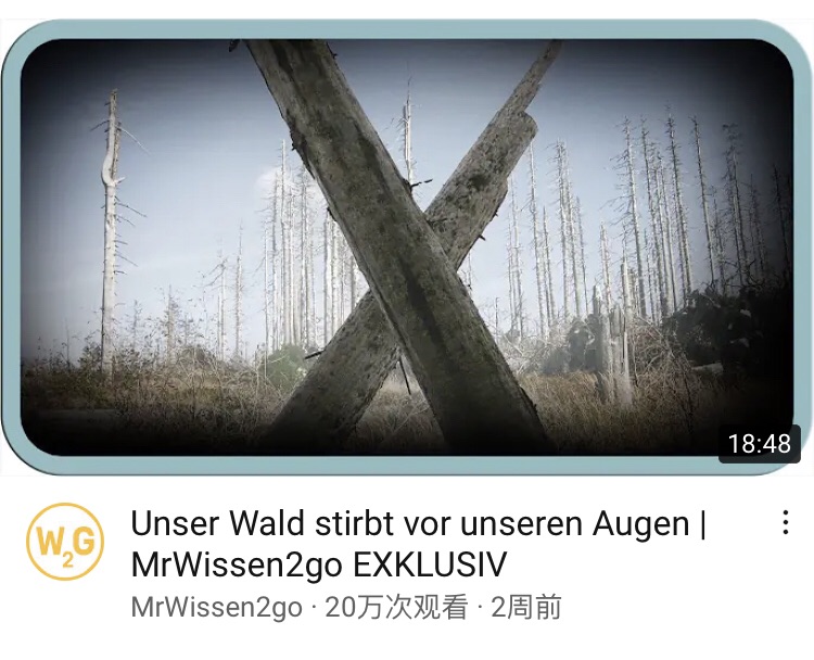 前兩天看的視頻
