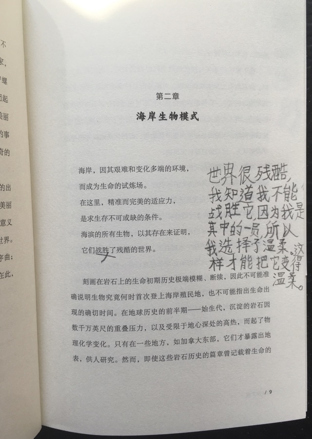 小感動