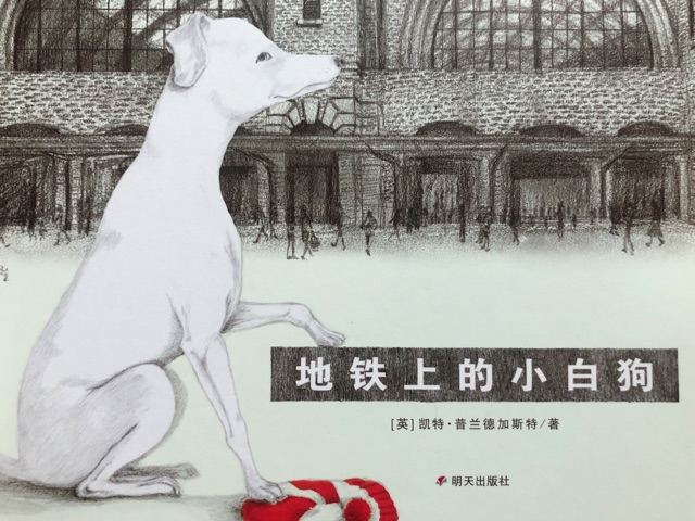有關(guān)愛(ài)??的那些