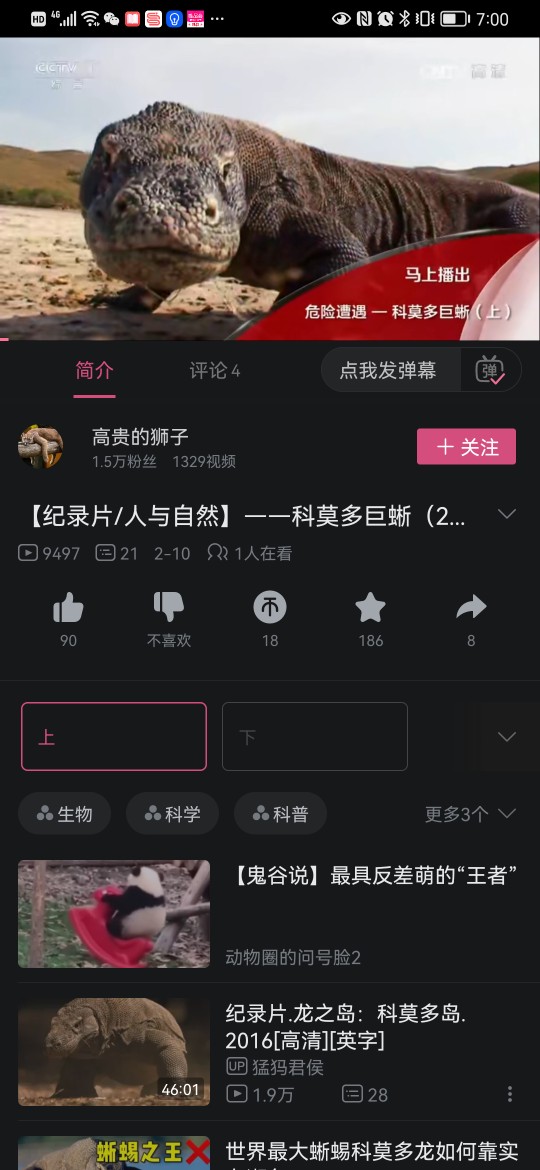 看大鯢 科莫多巨