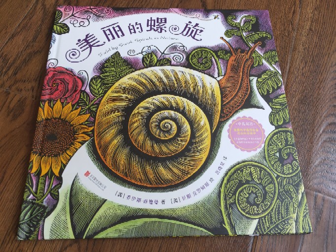 美麗的螺旋
