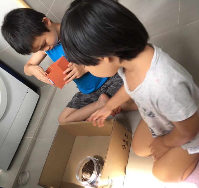 種子